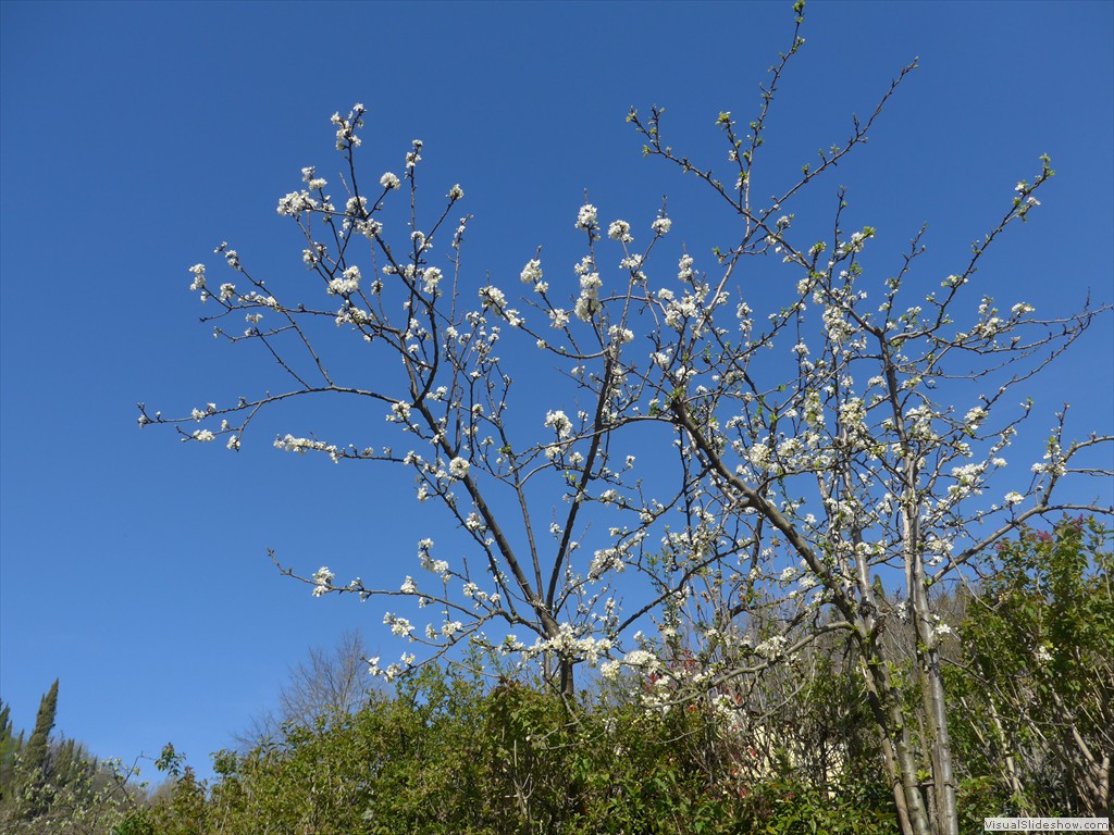 P1040244