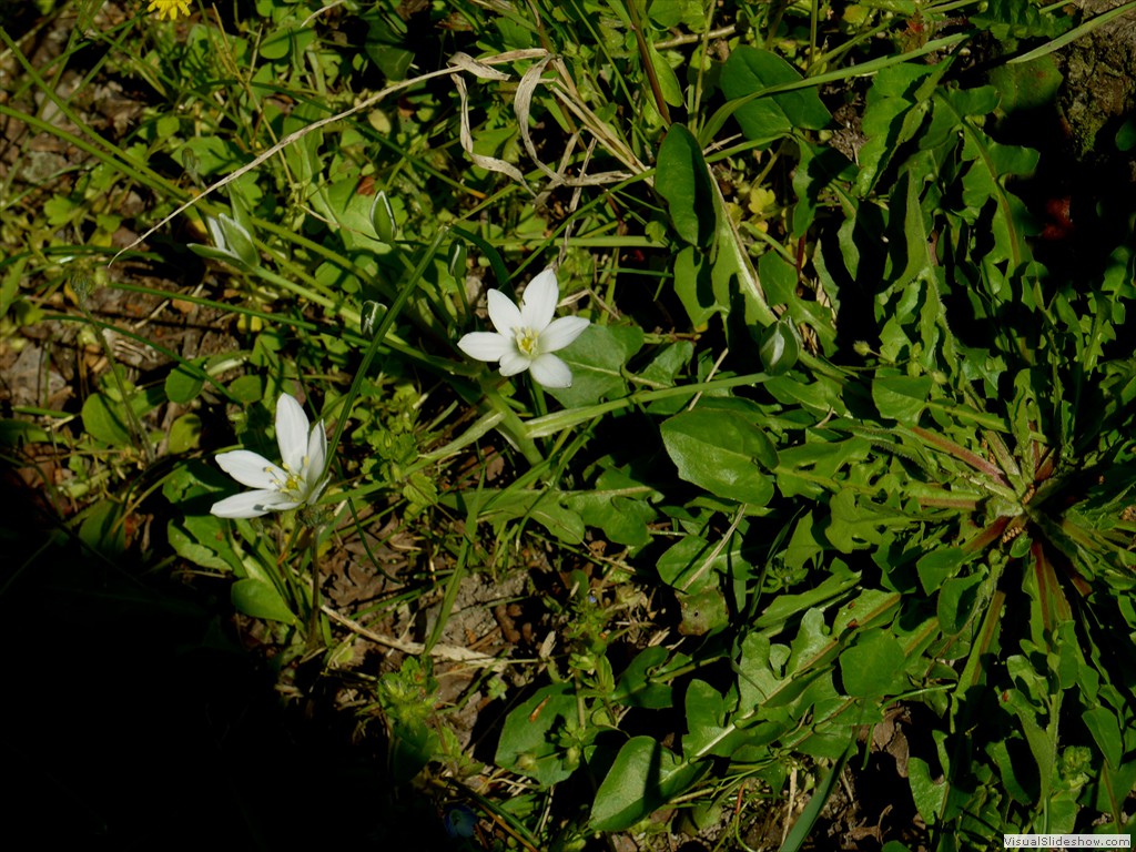 P1040246