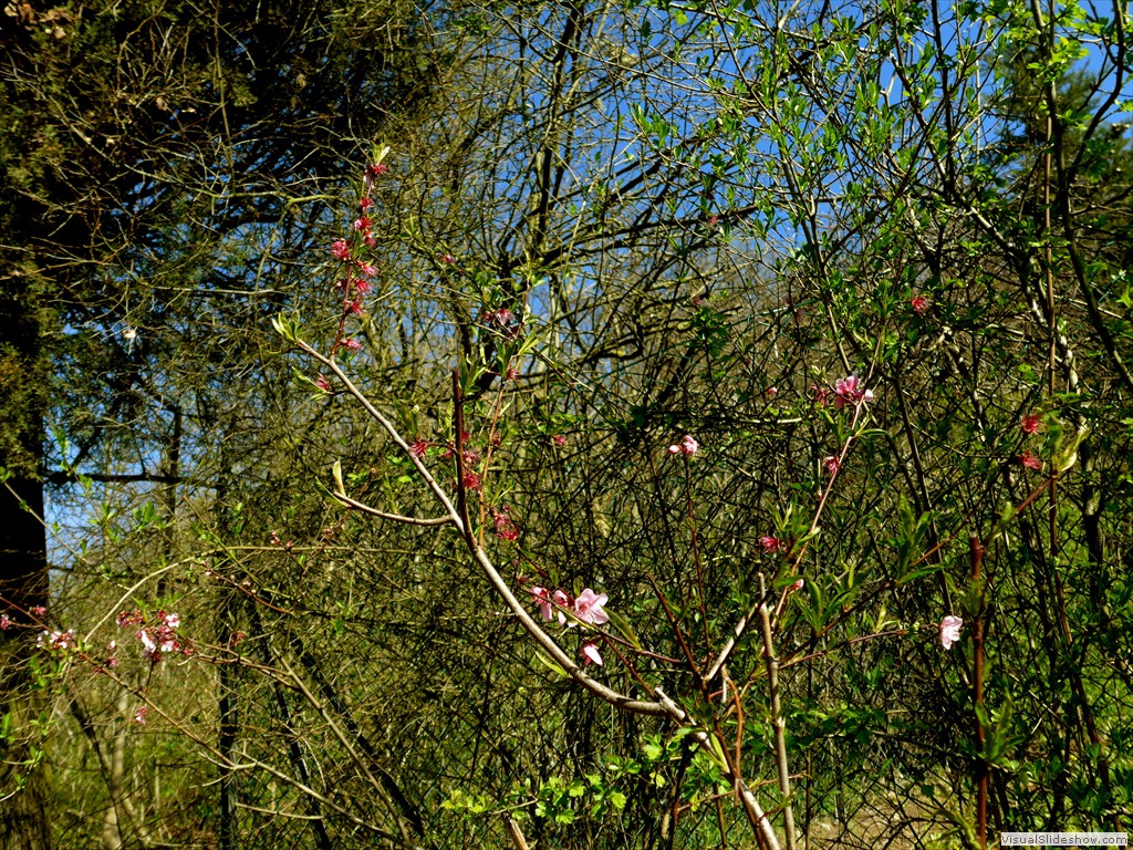 P1040247