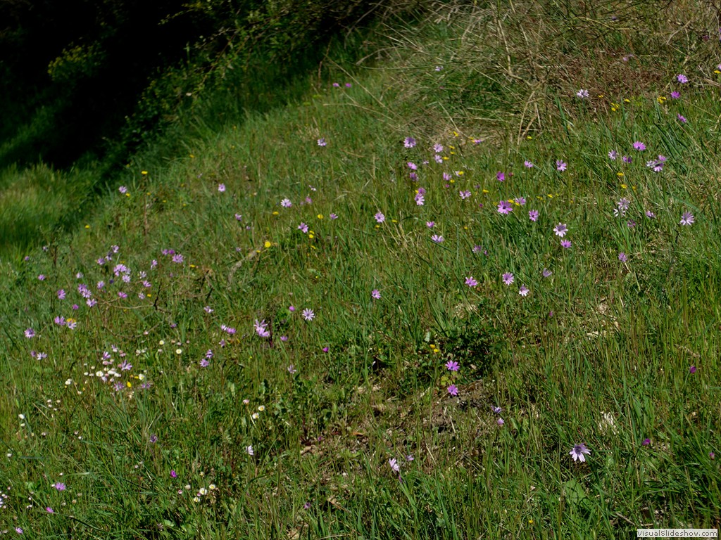 P1040248