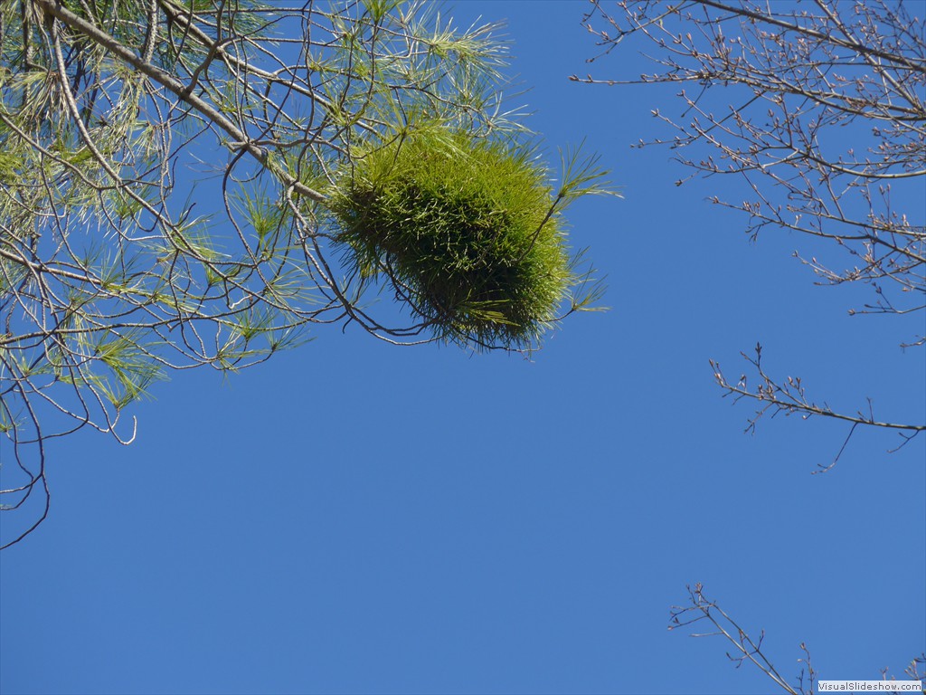 P1040251