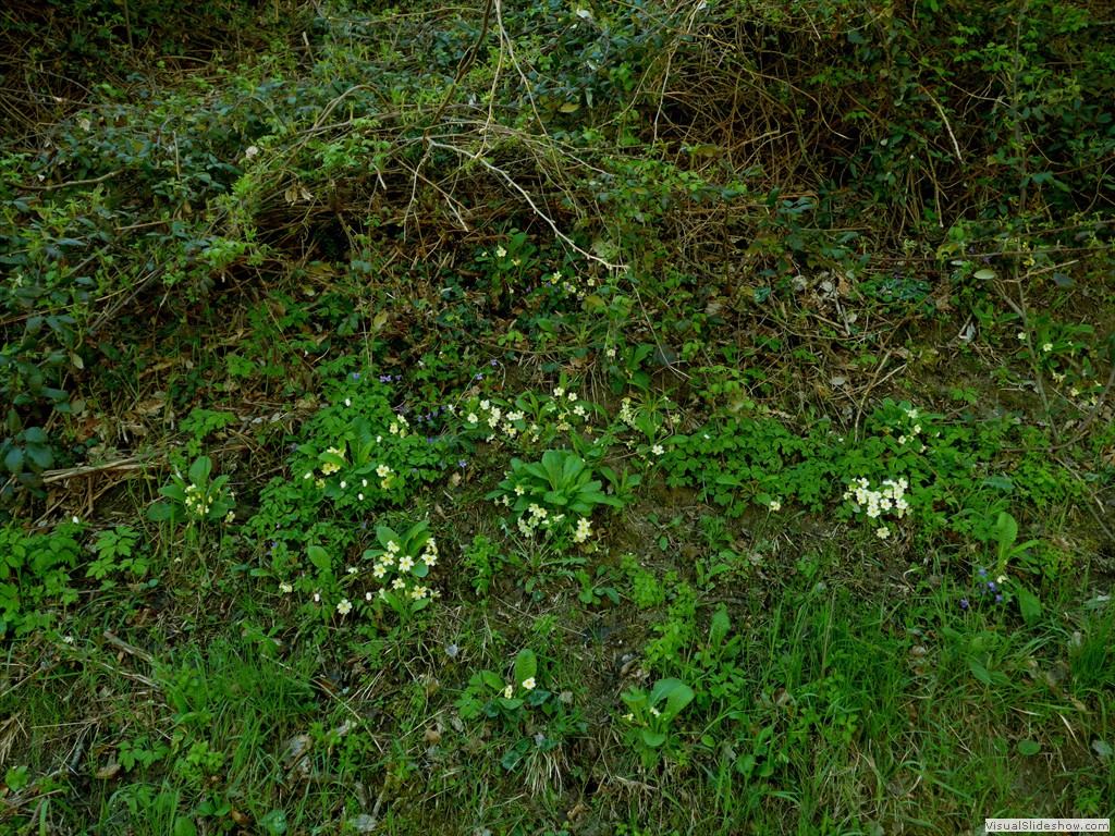 P1040254
