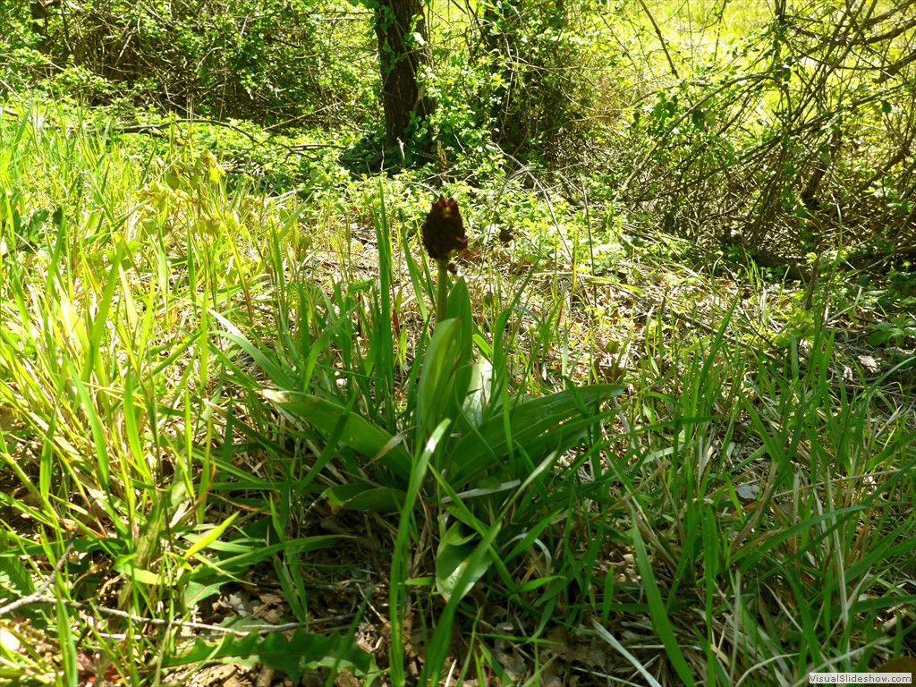 P1040257