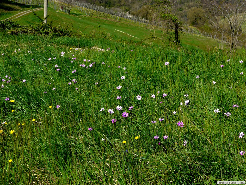 P1040261