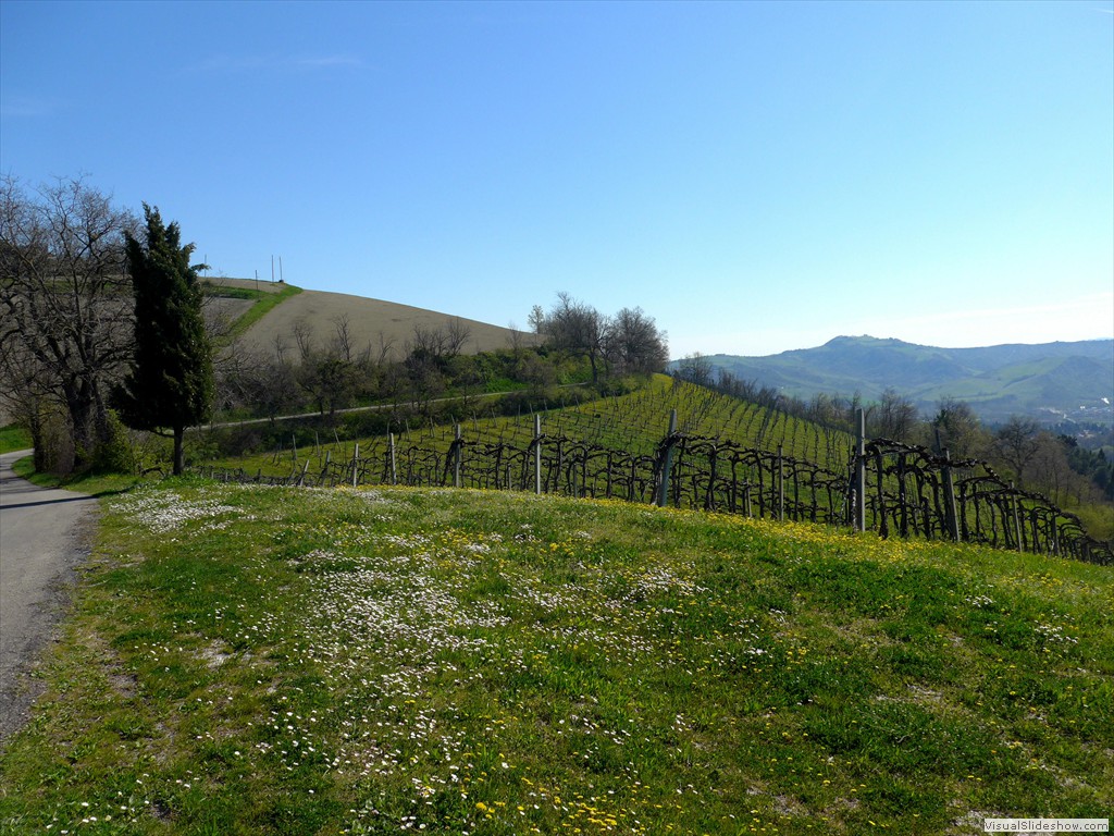 P1040264