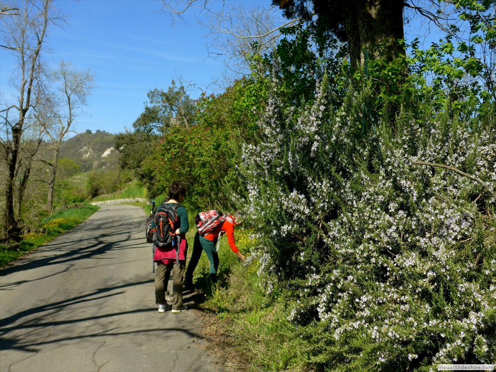 P1040267