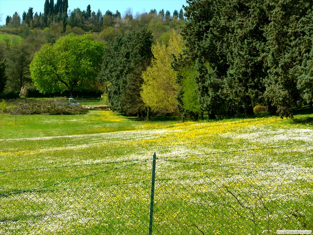 P1040271