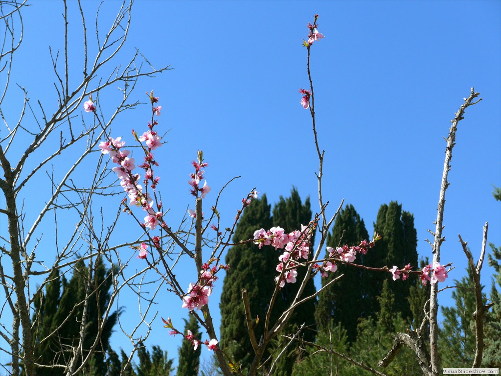 P1040274