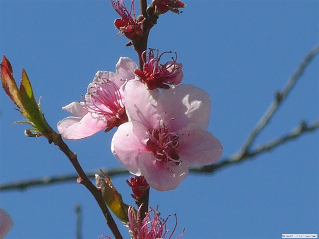 P1040275