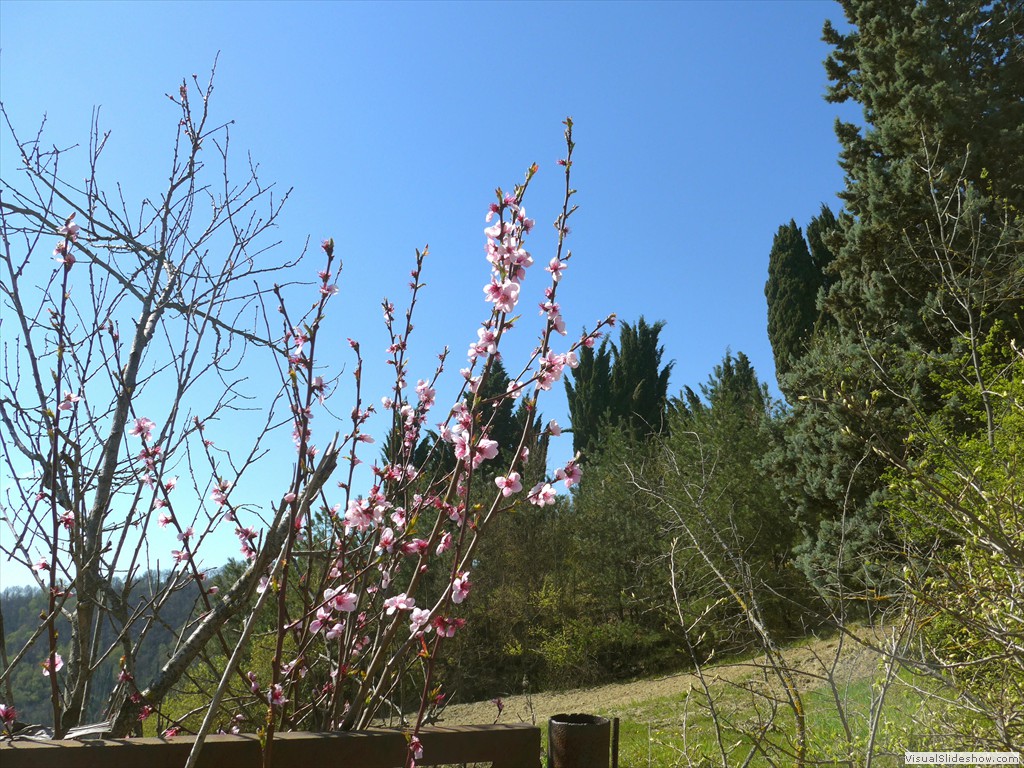 P1040276