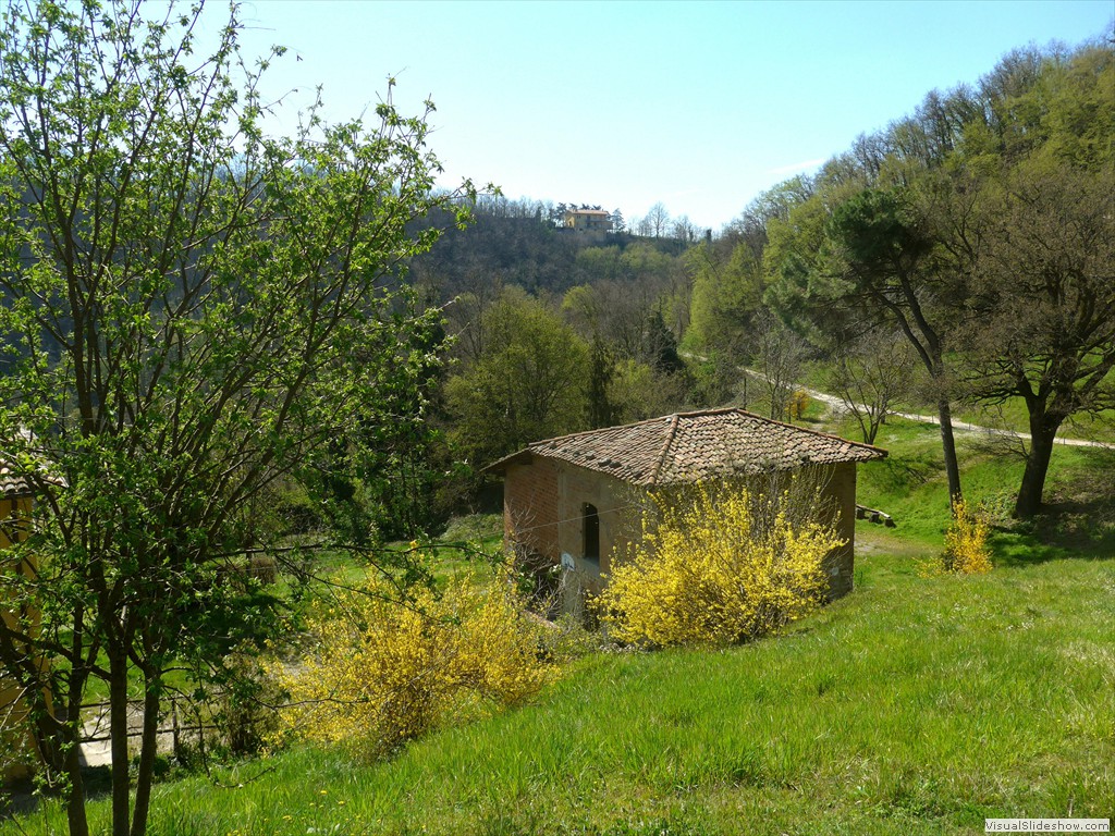 P1040278