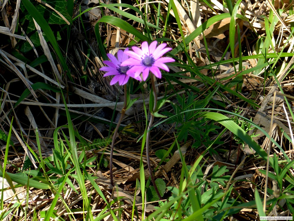 P1040280