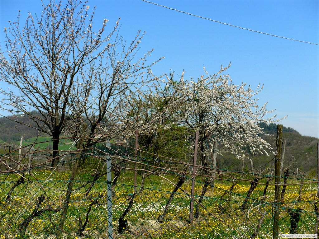 P1040283