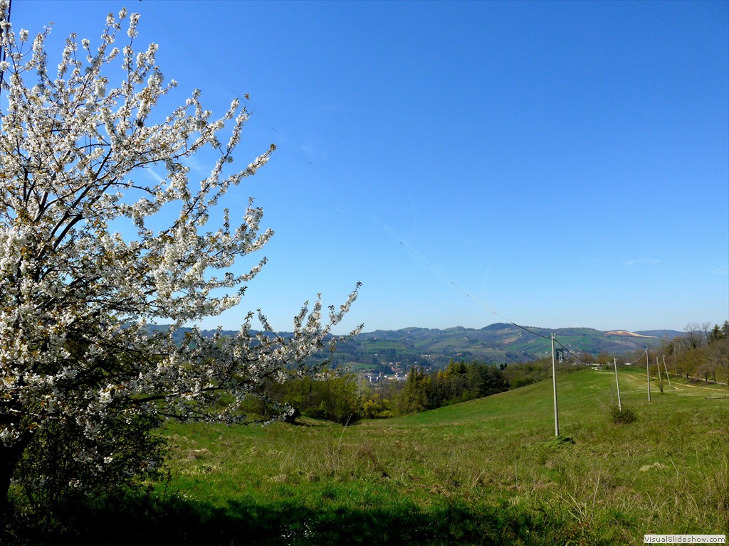 P1040294