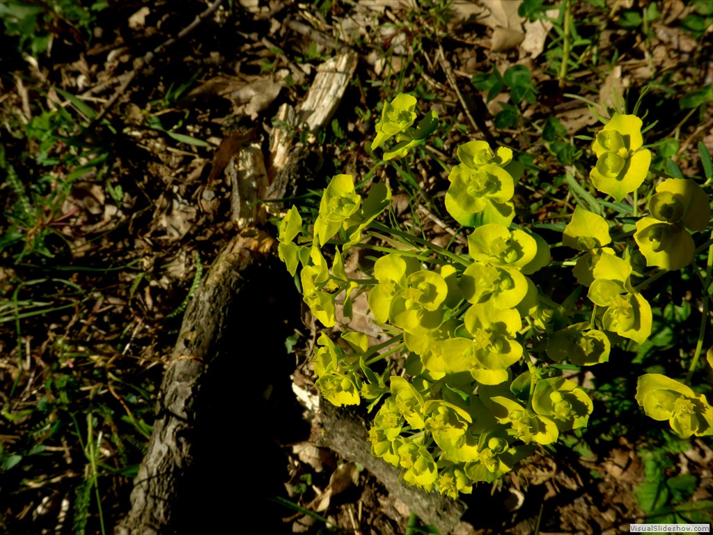 P1040299