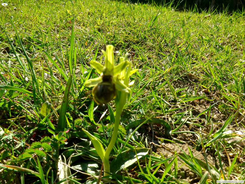 P1040301
