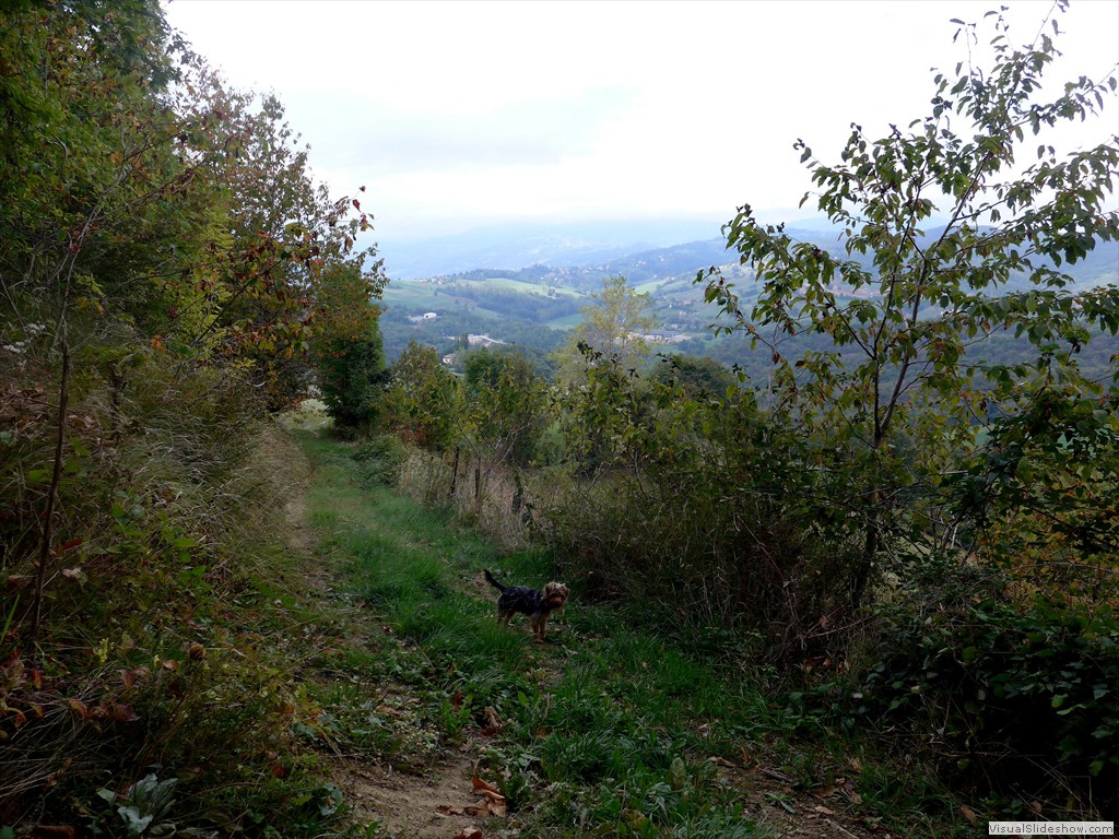 P1070820