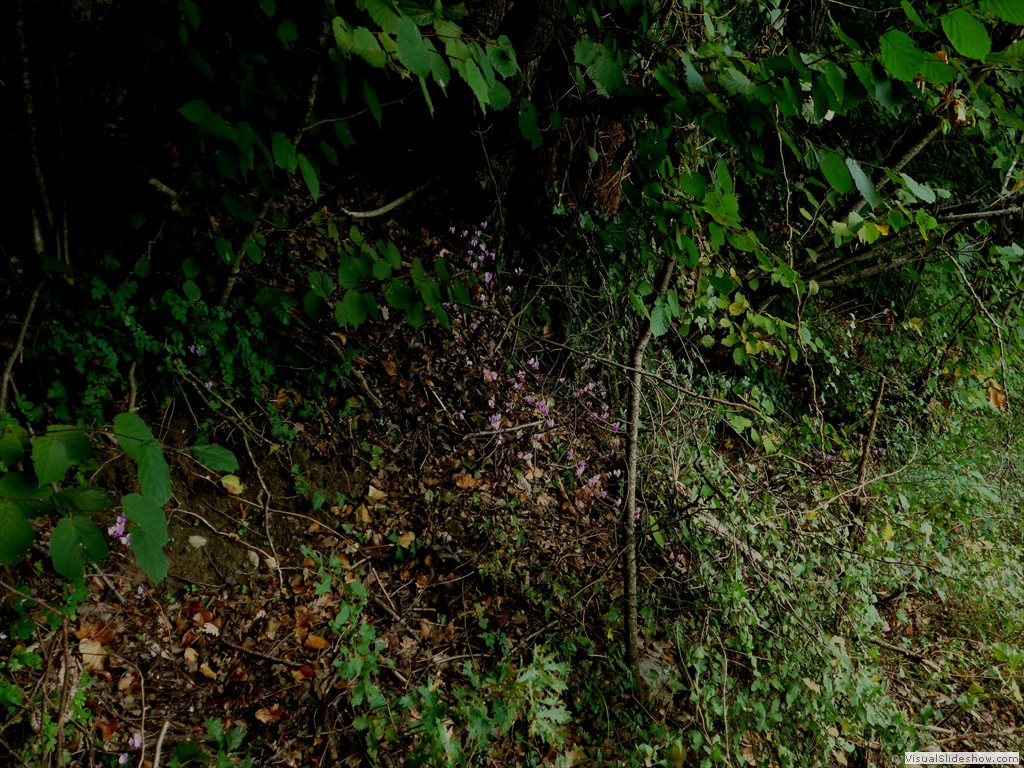 P1070865