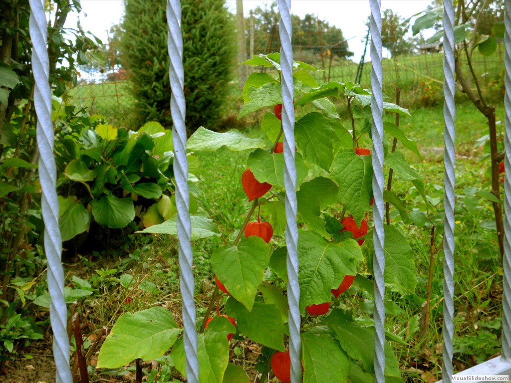 P1070871
