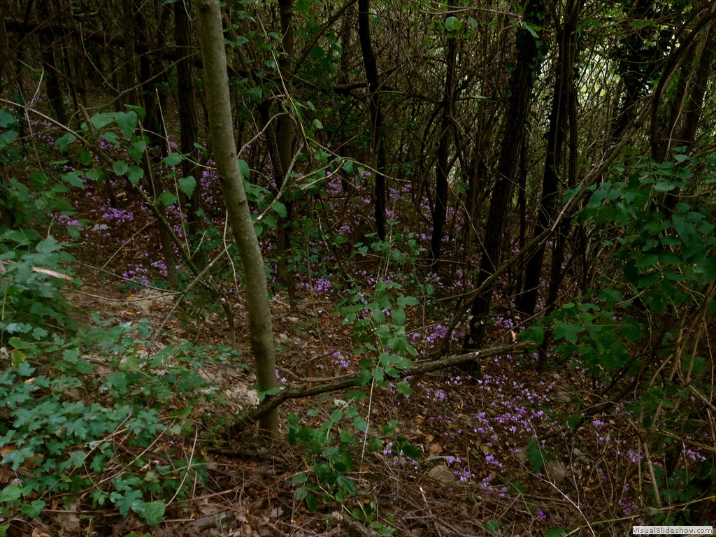 P1070886