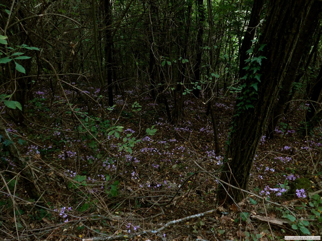 P1070889