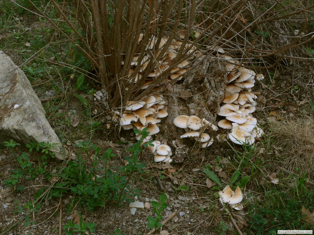 P1070940