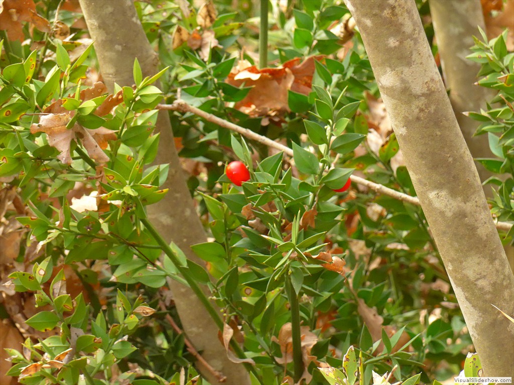 P1090964