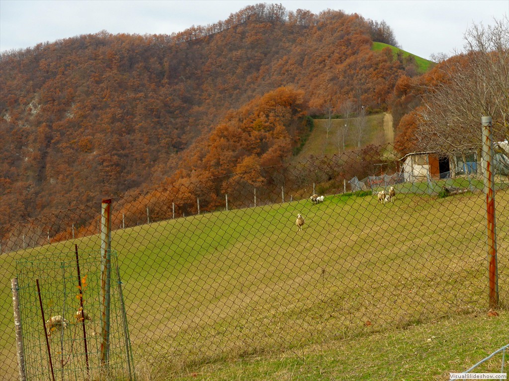 P1090992