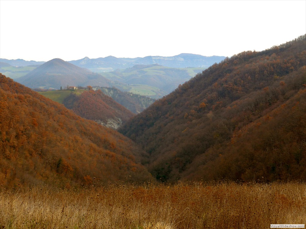 P1100002