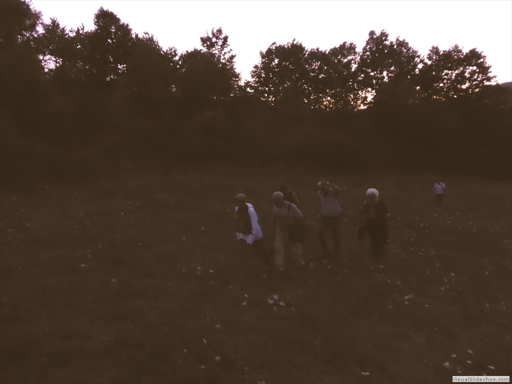 P1000747