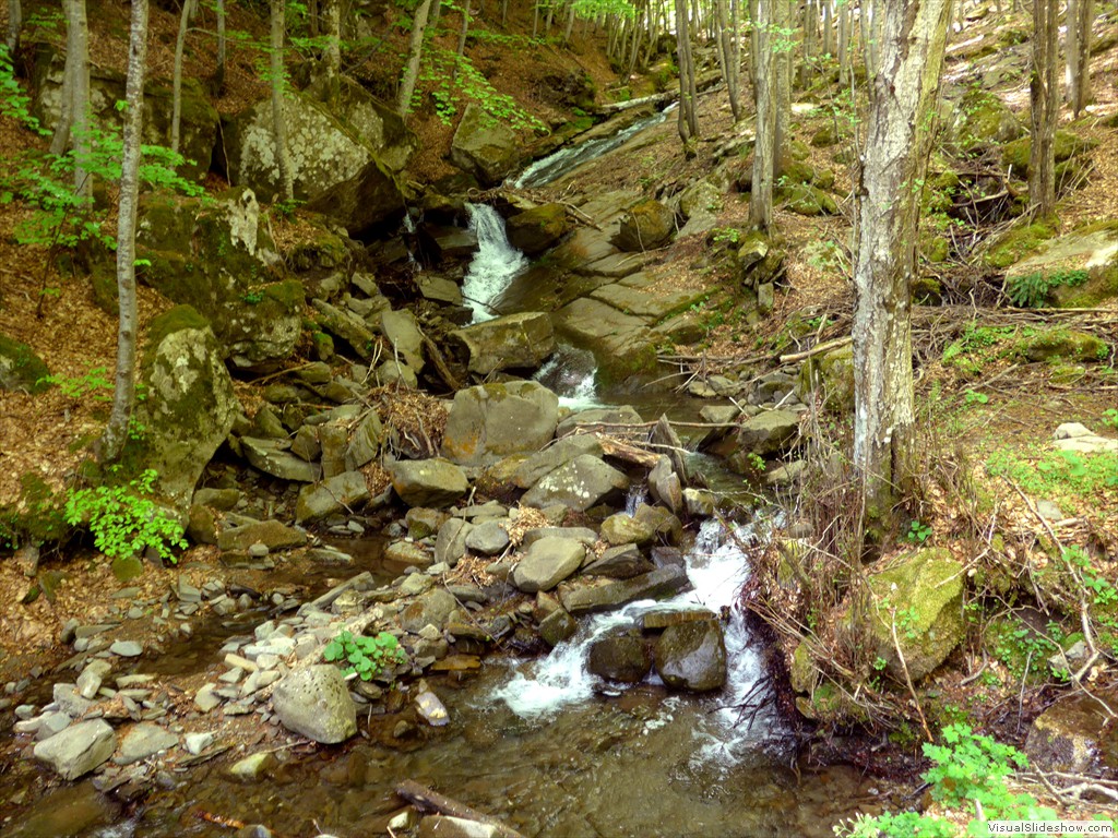 P1040672