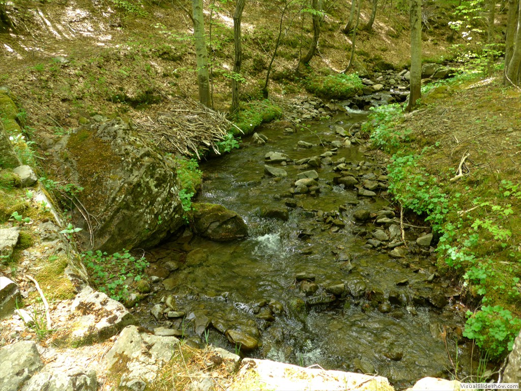 P1040673