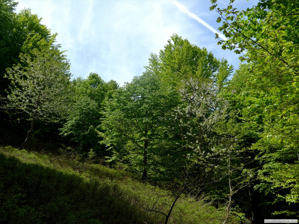 P1040678