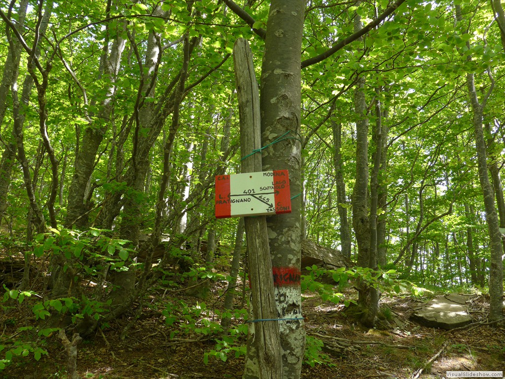 P1040685