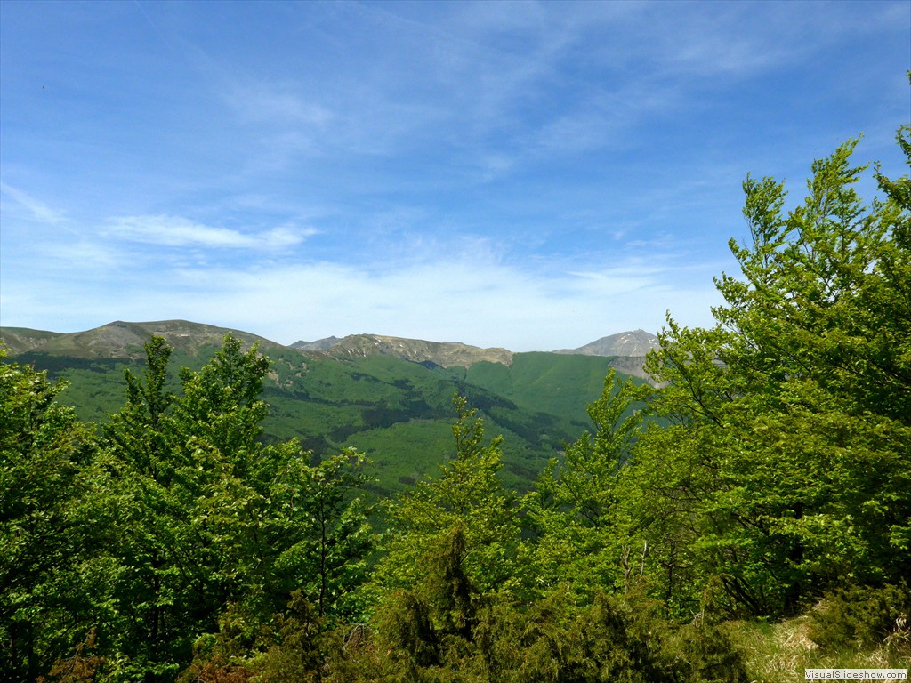 P1040690