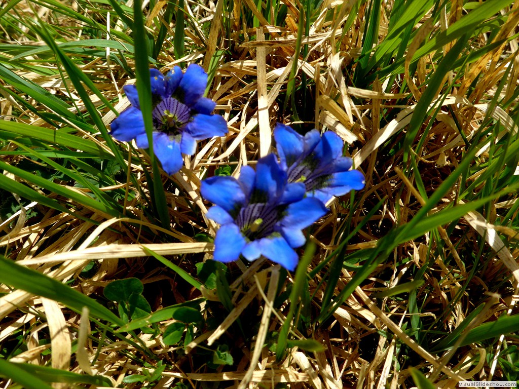 P1040700