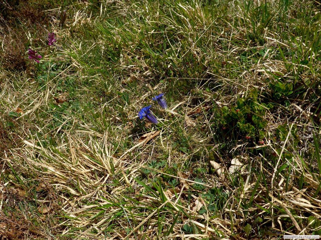 P1040701