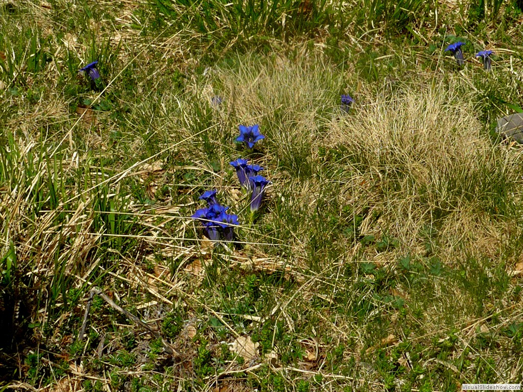 P1040703