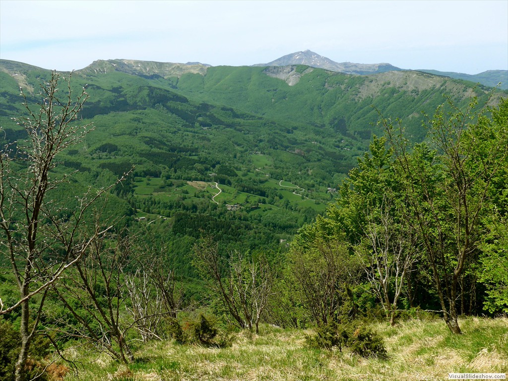 P1040711