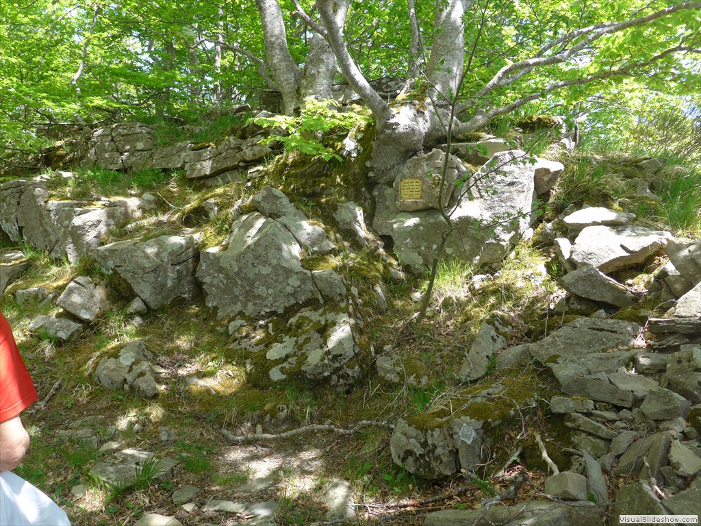 P1040716