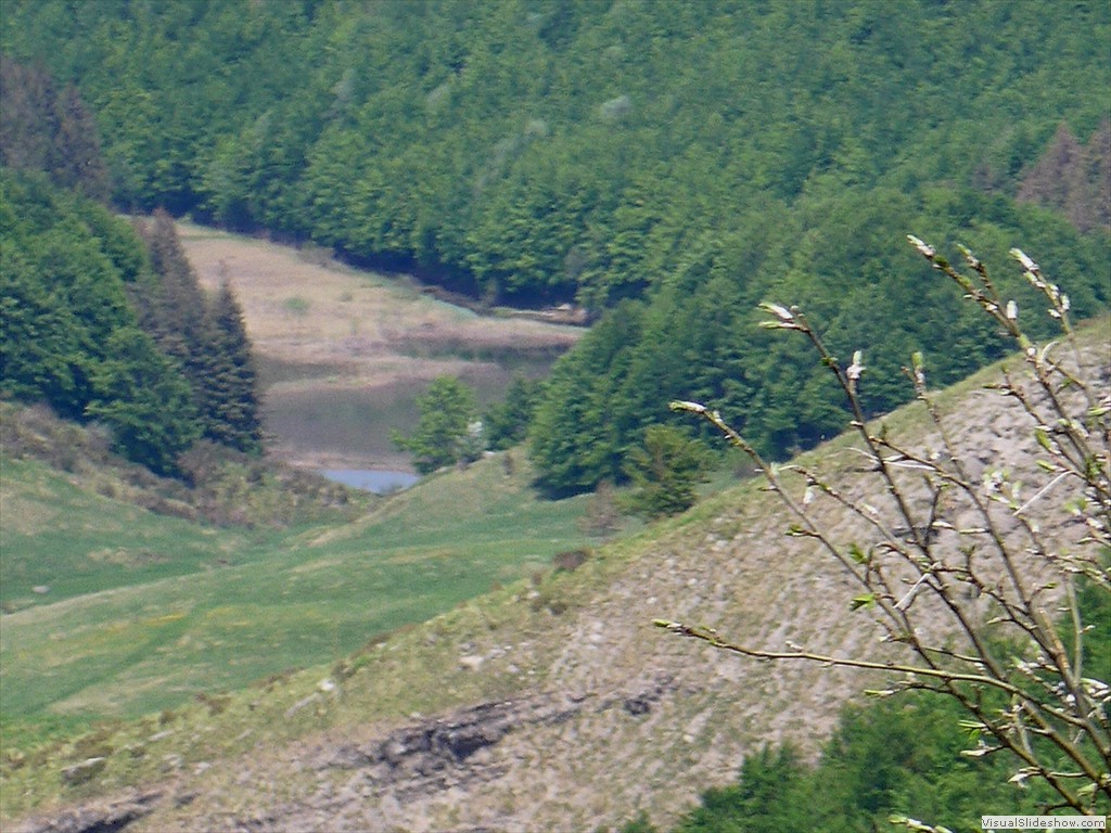 P1040717
