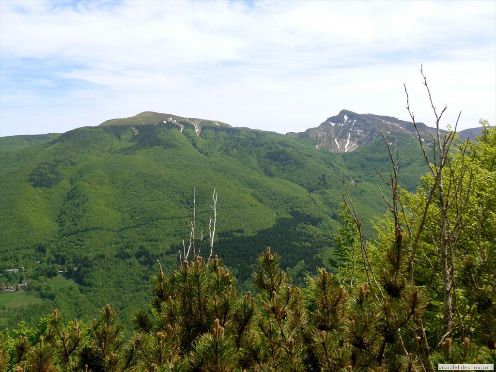 P1040719