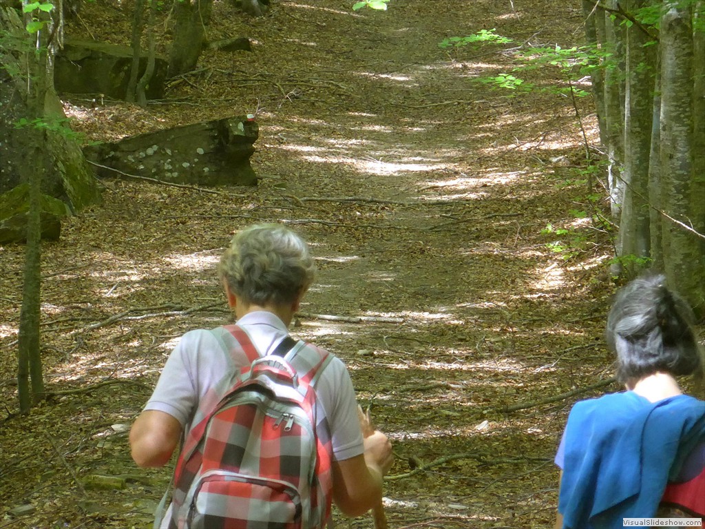 P1040720