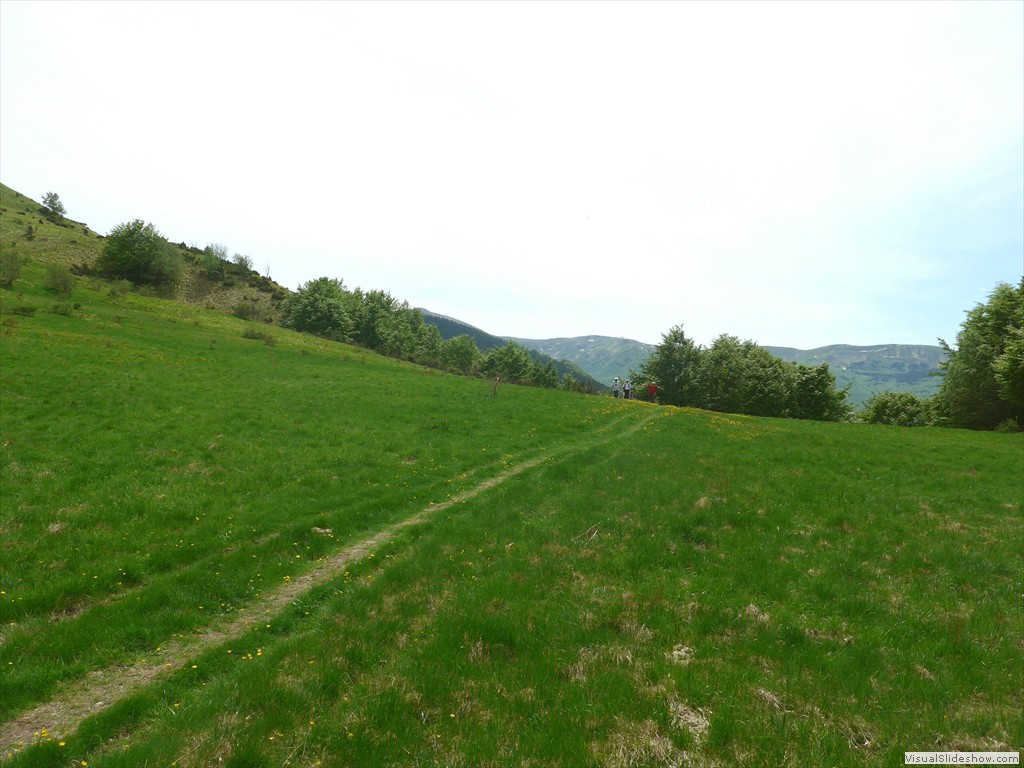 P1040725