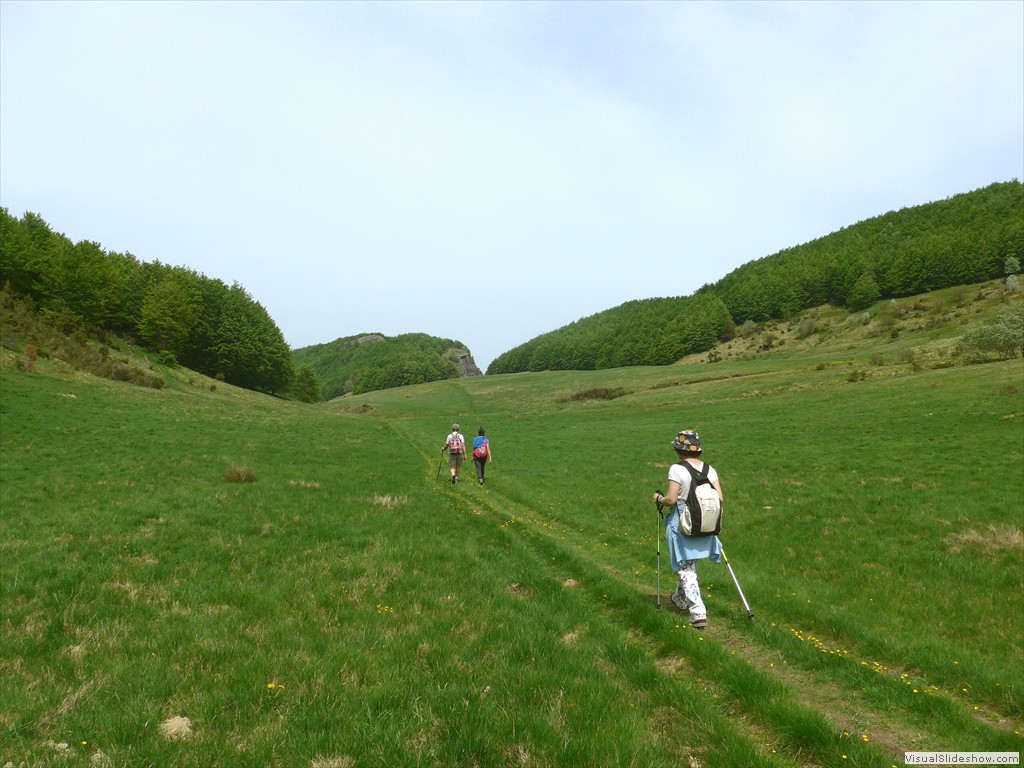 P1040726