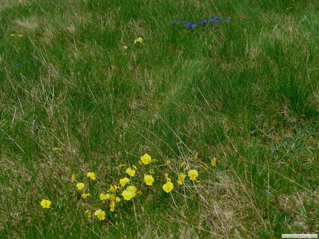 P1040730