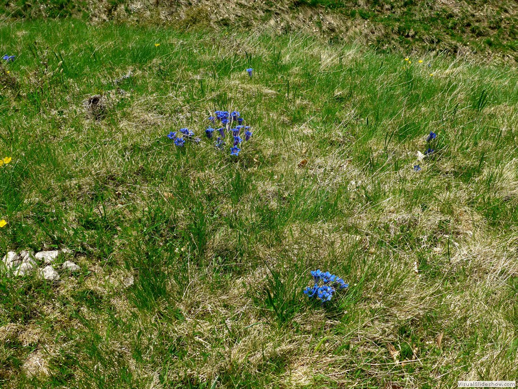 P1040740