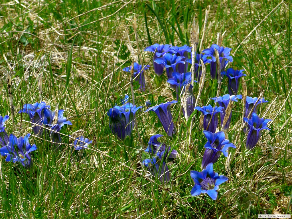 P1040742