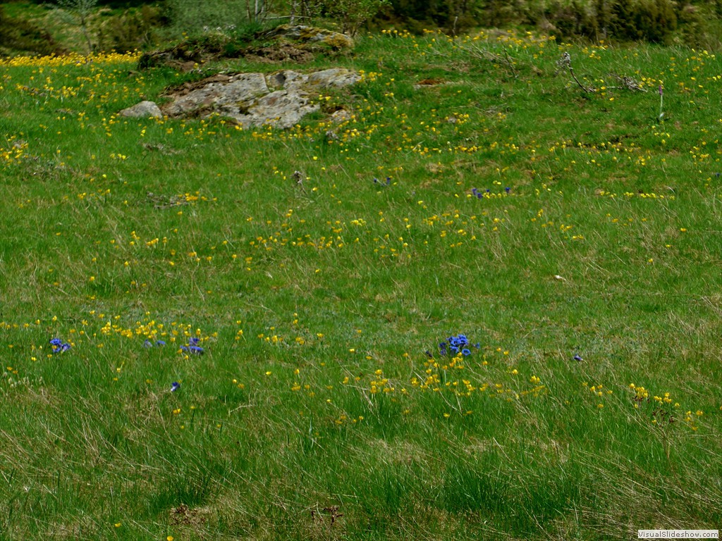 P1040743