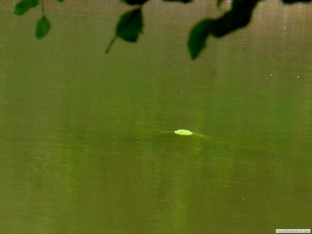 P1040753